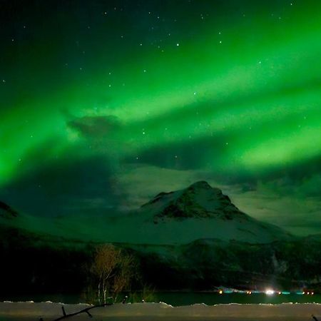 Апартаменты Face Of North Gratangen Экстерьер фото