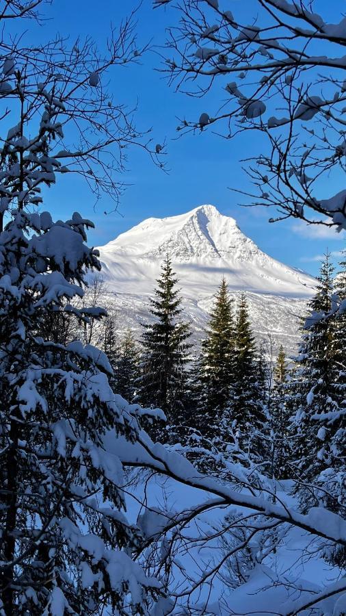 Апартаменты Face Of North Gratangen Экстерьер фото